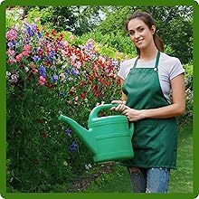 Watering Sweet Pea Mixtures