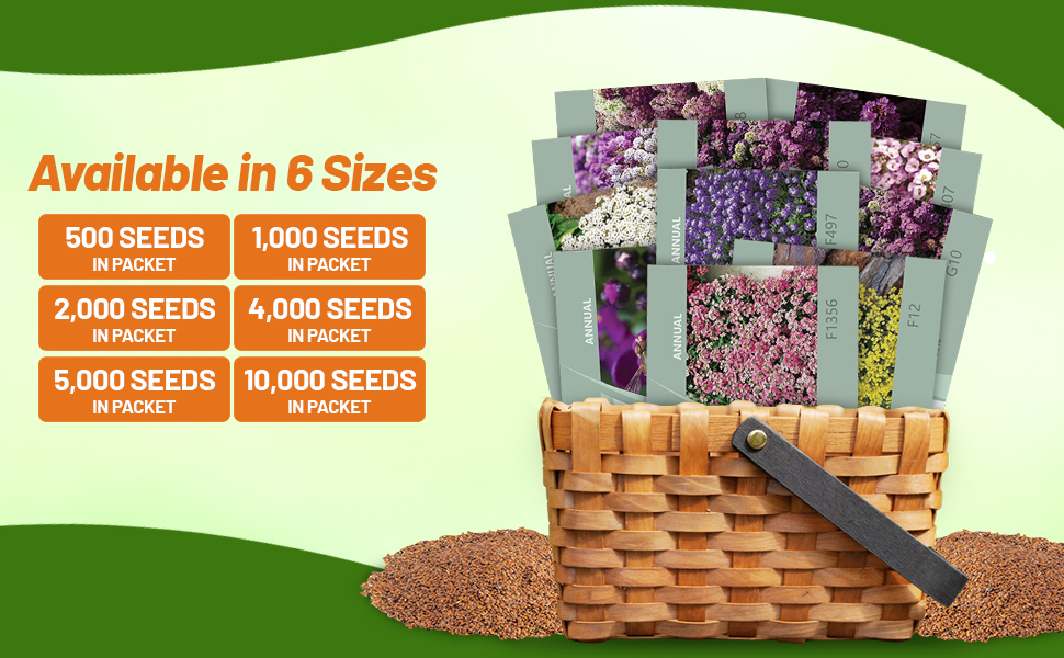 Alyssum Seed Packets For Sale To Plant
