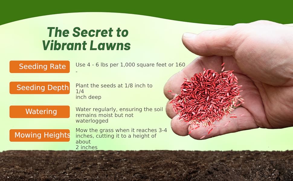 Planting Directions For Showtime Lawn Grass Seed Mixture