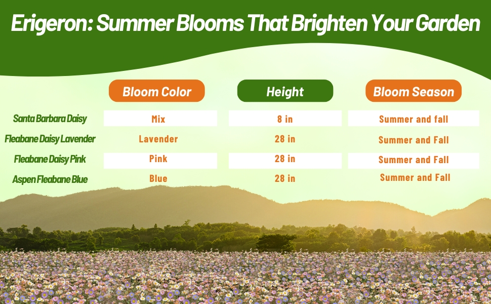 Aspen Fleabane Daisy Colors, Heights, and Bloom Season Chart