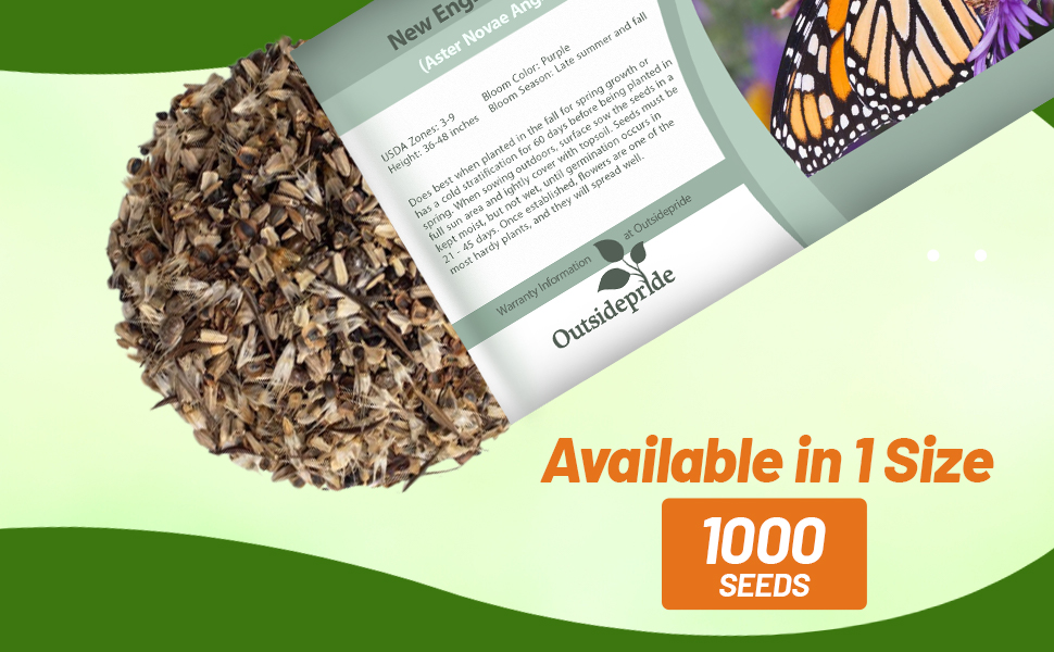 New England Aster Seed Packet For Planting