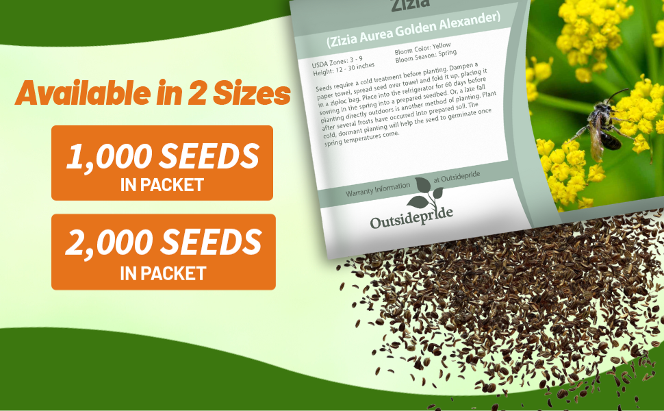 Zizia Golden Alexander Flower Seed Packets