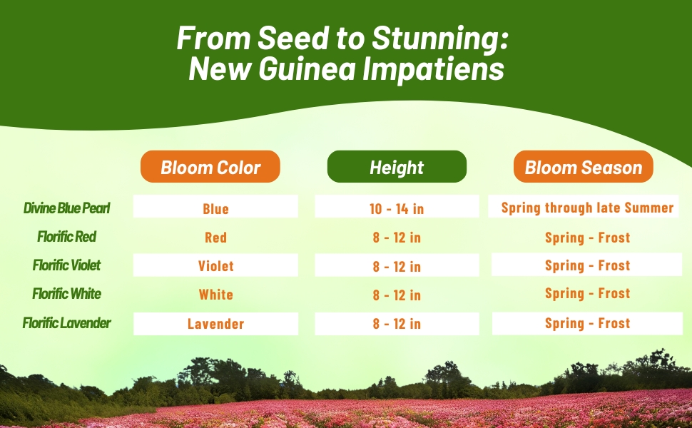 Bloom Season, Color, & Height Chart of New Guinea Impatiens