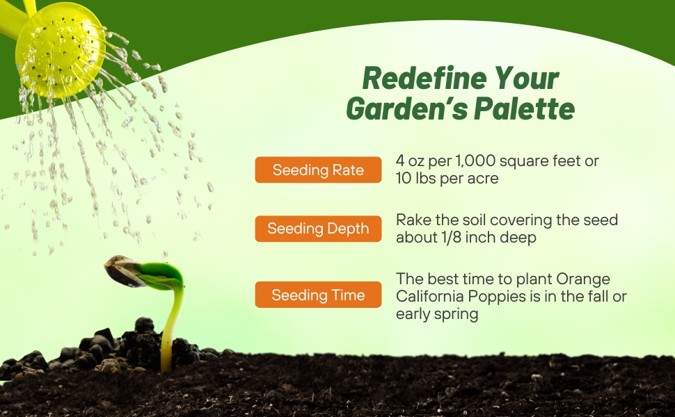 Seeding Rate & Planting Time For California Poppy Seeds
