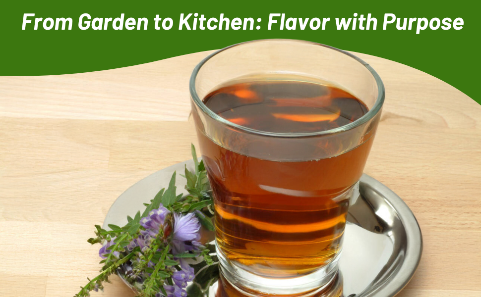 Skullcap Herbs For Herbal Tea