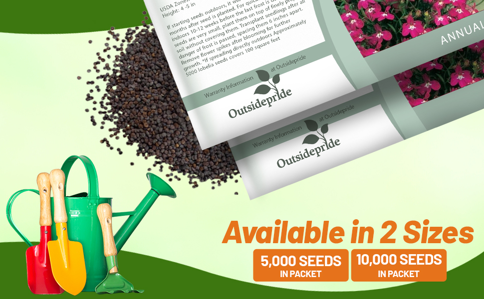 Lobelia Rosamond Seed Packets For Sale