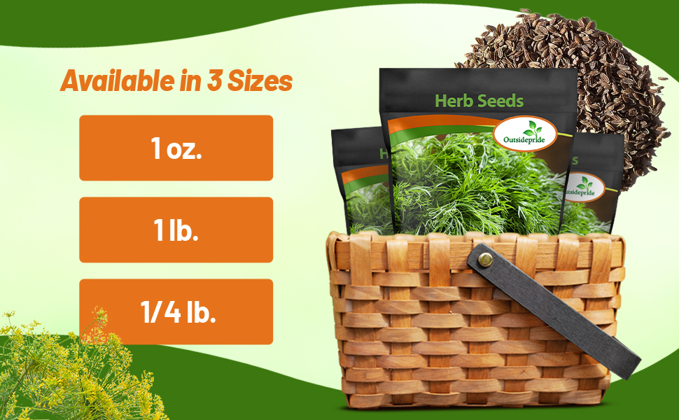 Dill Bulk Seed Bag & Packets For Sale