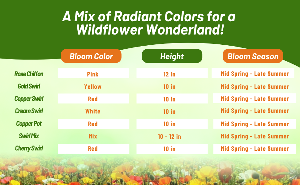 California Poppies Creates A Wildflower Meadow