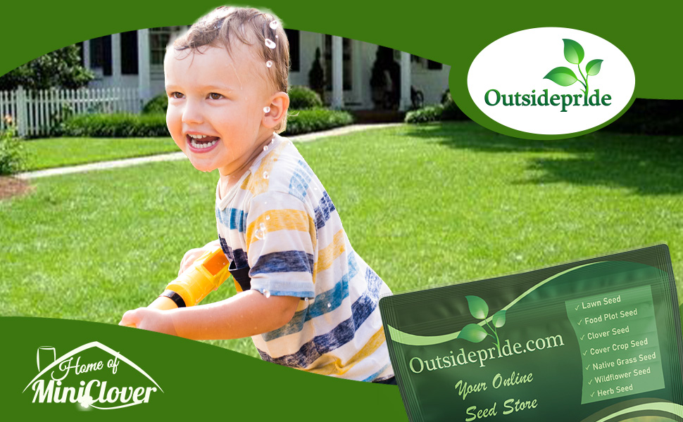 Kid Playing on Showtime Lawn Grass Seed Mixture