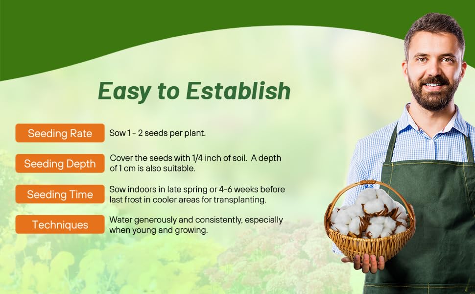 Planting Directions For Cotton Seed