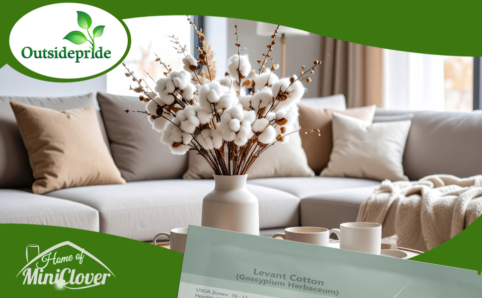 Field of Levant Cotton Plants