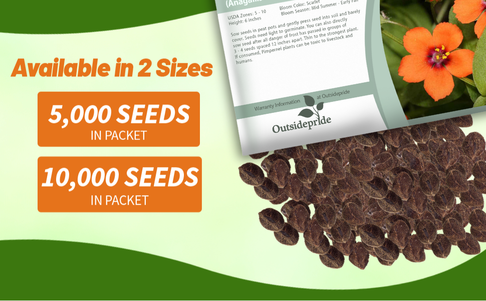 Scarlet Pimpernel Seed Packets