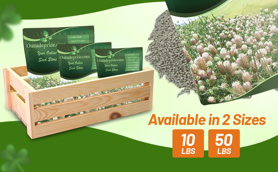 Bulk Arrowleaf Seed Bags For Planting