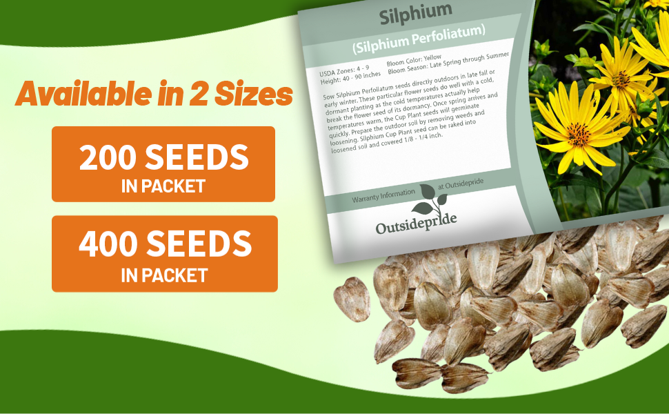 Silphium Cup Plant Seed Packet