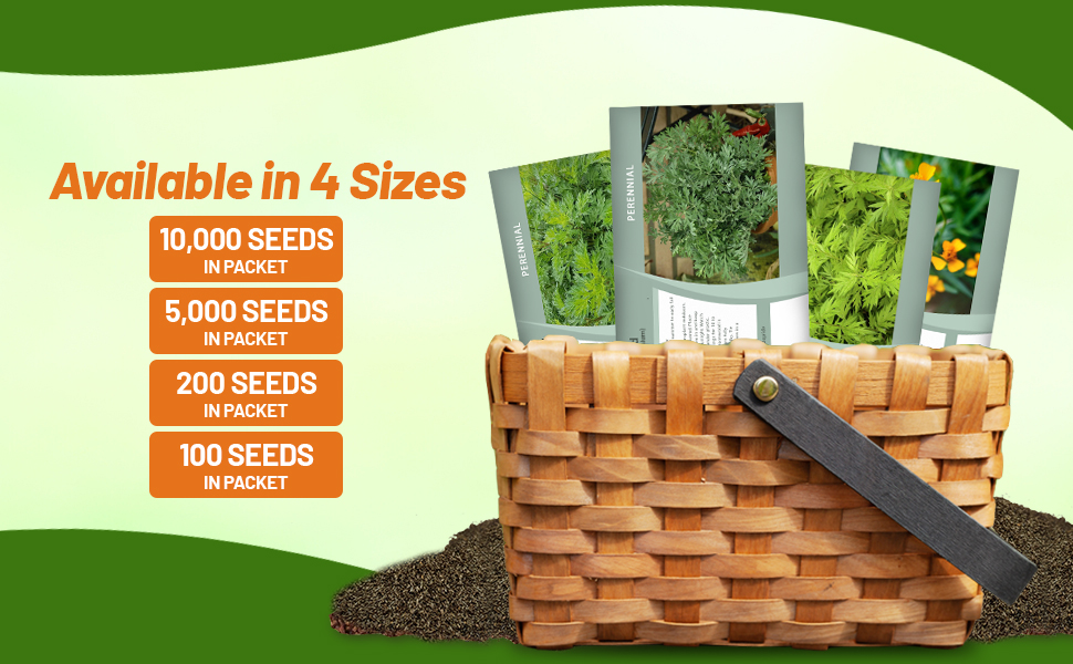 Wormwood, Tarragon, & Mugwort Seed Packets For Planting