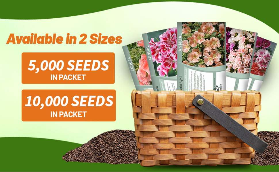 Godetia Seed Packets For Sale