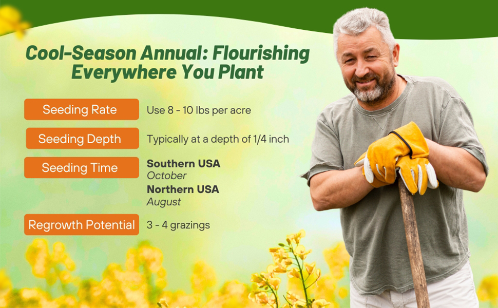 Planting Directions For Brassica Seed