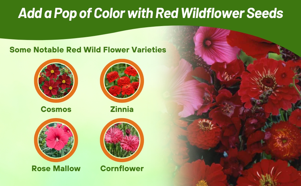 Varieties of Red Flower Seeds in Mixture
