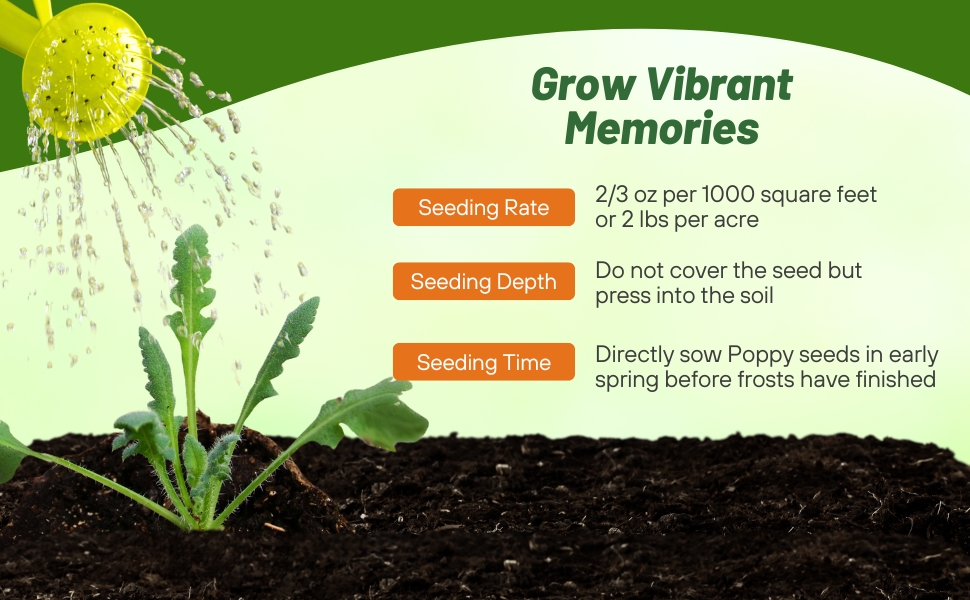 Planting Directions For Red Poppy Garden Flowers