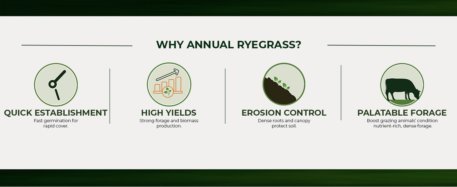 Annual Ryegrass Cover Crop