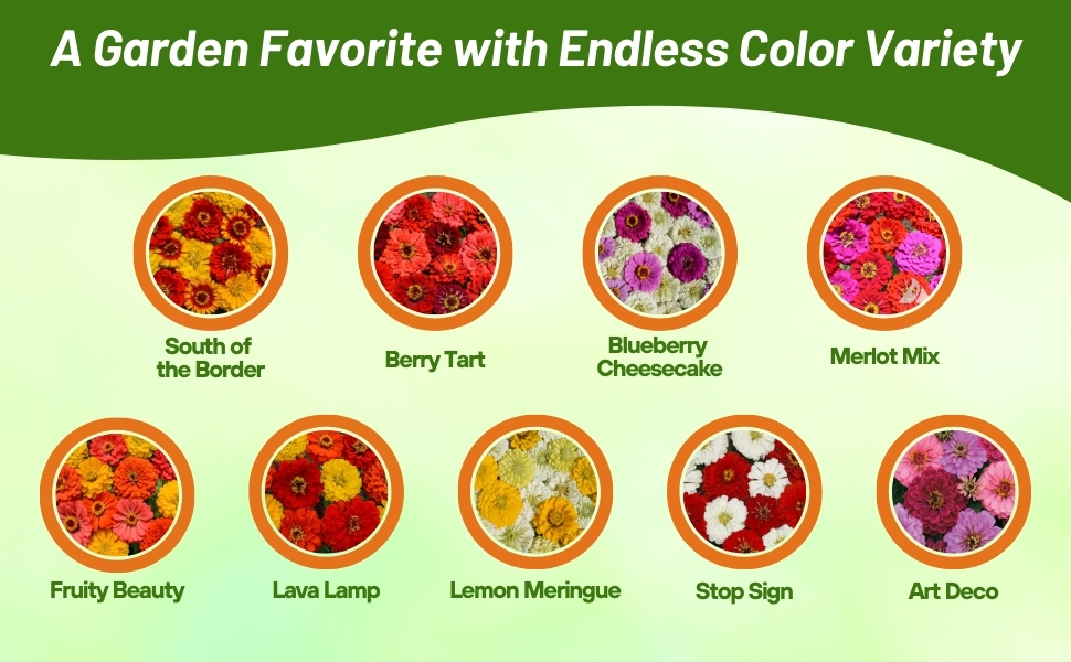 Varieties of Zinnia Elegans Flower Seed Mixtures