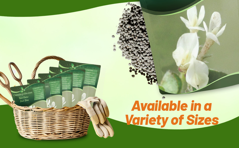 Bulk Subterranean Clover Seed Bags For Planting