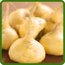 Maca Nutrient Dense Roots With Vitamins, Minerals, & Antioxidants