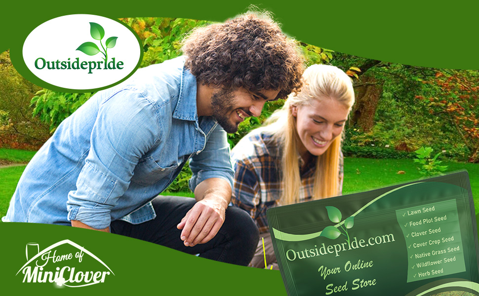 Hard Fine Fescue Lawn Grass Seed
