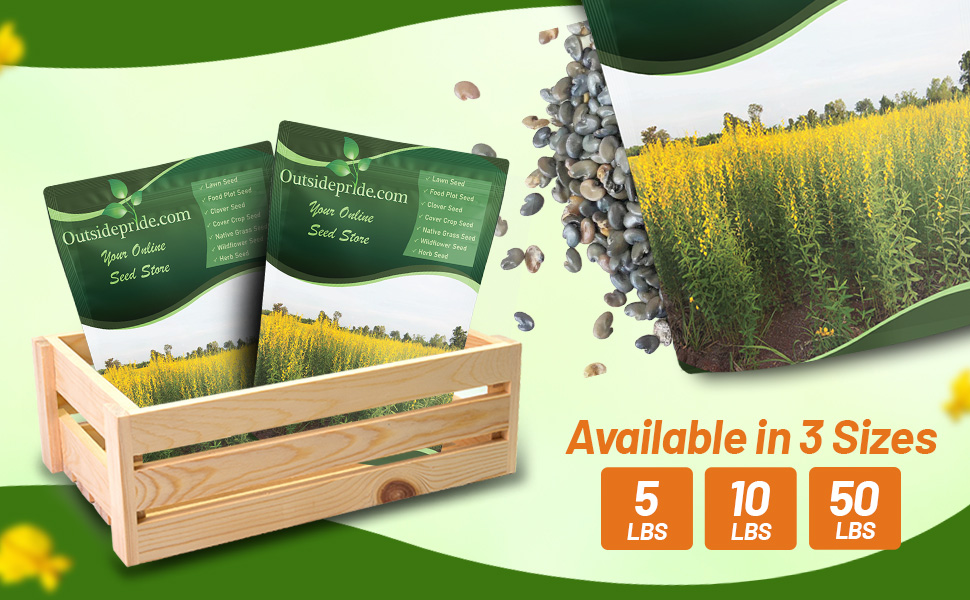 Sunn Hemp Warm Season Annual Legume Bulk Pound