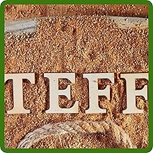 Higher Crude Protein Levels Teff