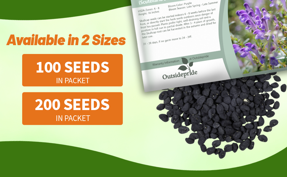 Skullcap Herb Seed Packets For Sale