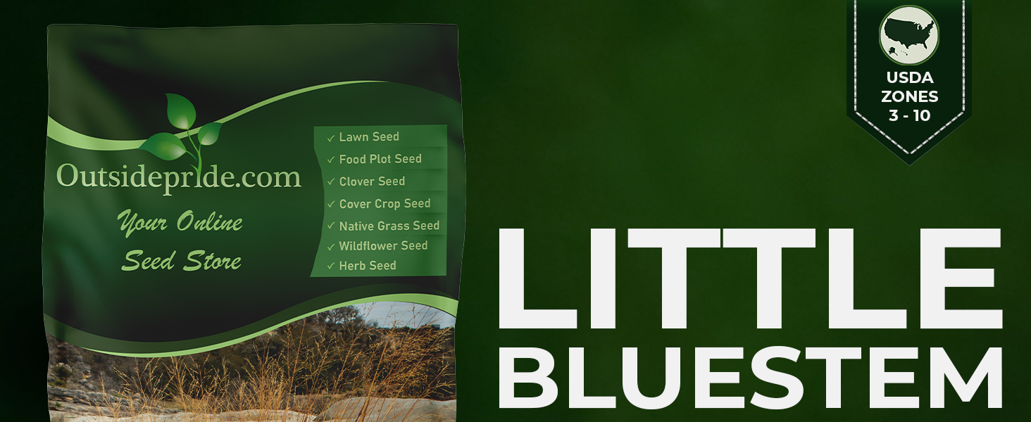 Little Bluestem