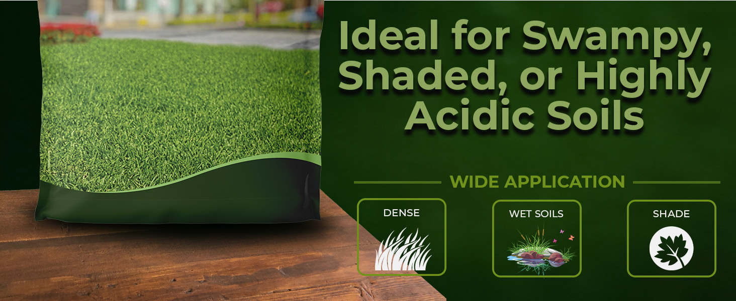 Carpet Grass Seed