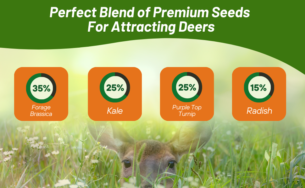 Brassica, Kale, Turnip, and Radish Forage Seed