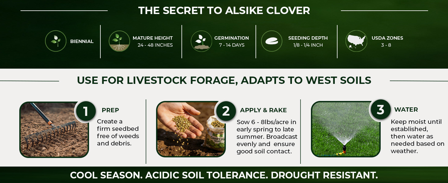 Alsike Clover Planting Directions