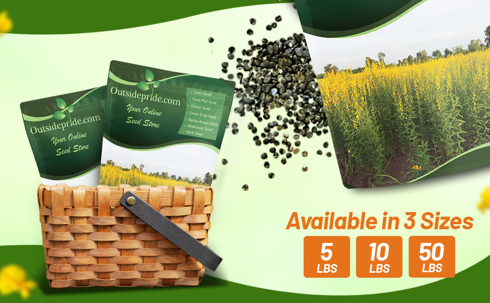 Sunn Hemp Warm Season Annual Legume Bulk Pound