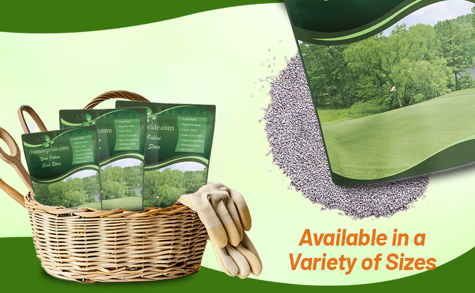 Yukon Bulk Bermuda Cold Tolerant Seed Bag For Planting Lawns