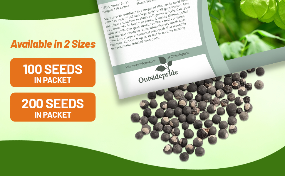 Cardiospermum Balloon Vine Seed Packet For Sale
