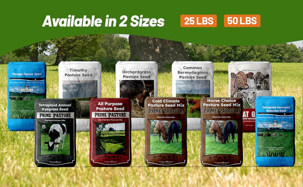 Outsidepride Pasture Grass Seed Options For Planting