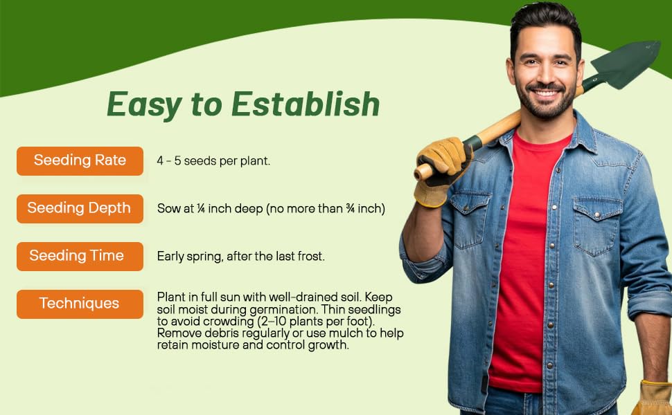 Planting Directions For Burning Bush Seeds