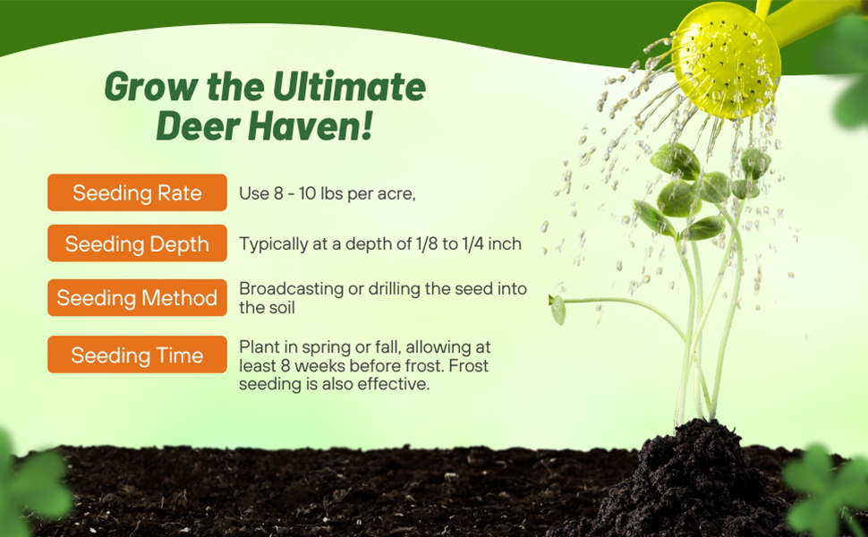 Seeding Rate & Planting Time For Deer & Wildlife Food Plot Seeds