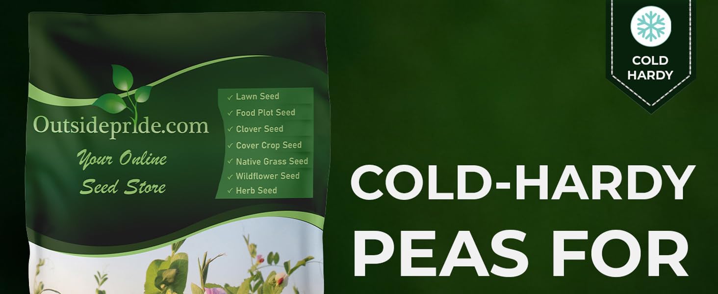 Austrian Winter Peas Bulk Seed