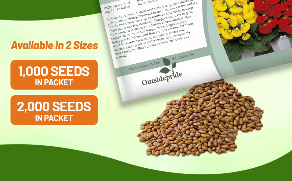 Slipper Flower Seed Packet For Sale