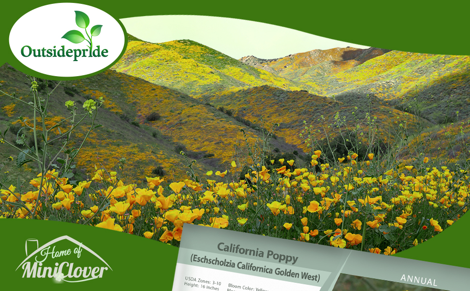 Golden West Yellow California Poppy Seeds