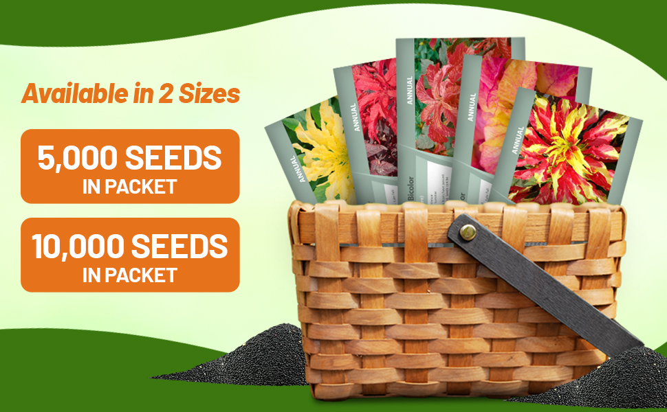 Amaranthus Flower Seed Packets For Sale