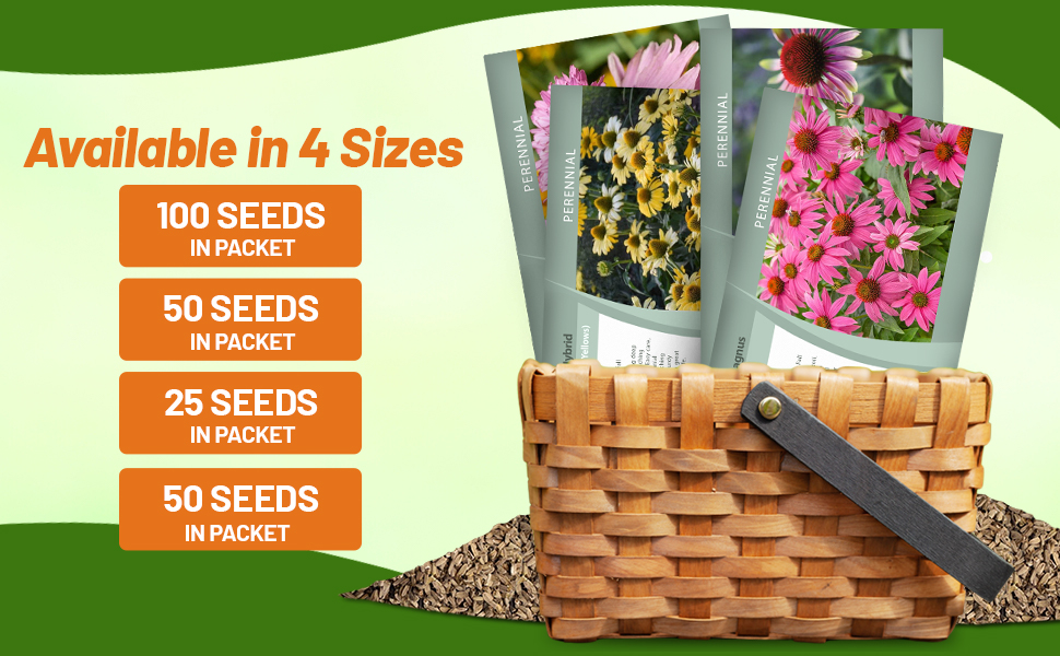 Perennial Echinacea Coneflower Flower Seed Packets For Planting