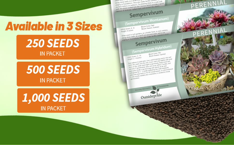 Drought Tolerant Sempervivum Seed Packets For Sale