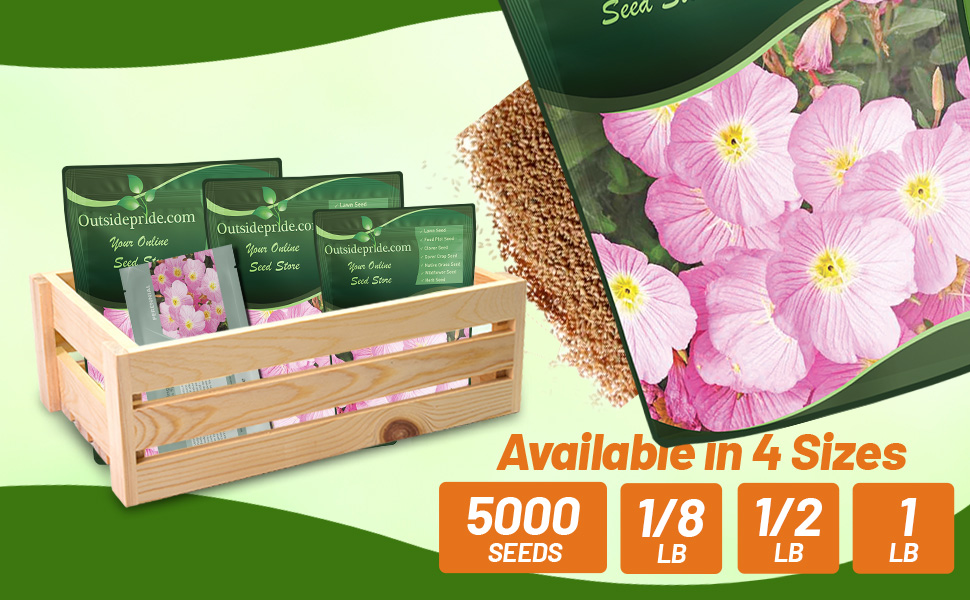 Oenothera Speciosa Seed Packet & Bulk Bags For Wildflower Planting