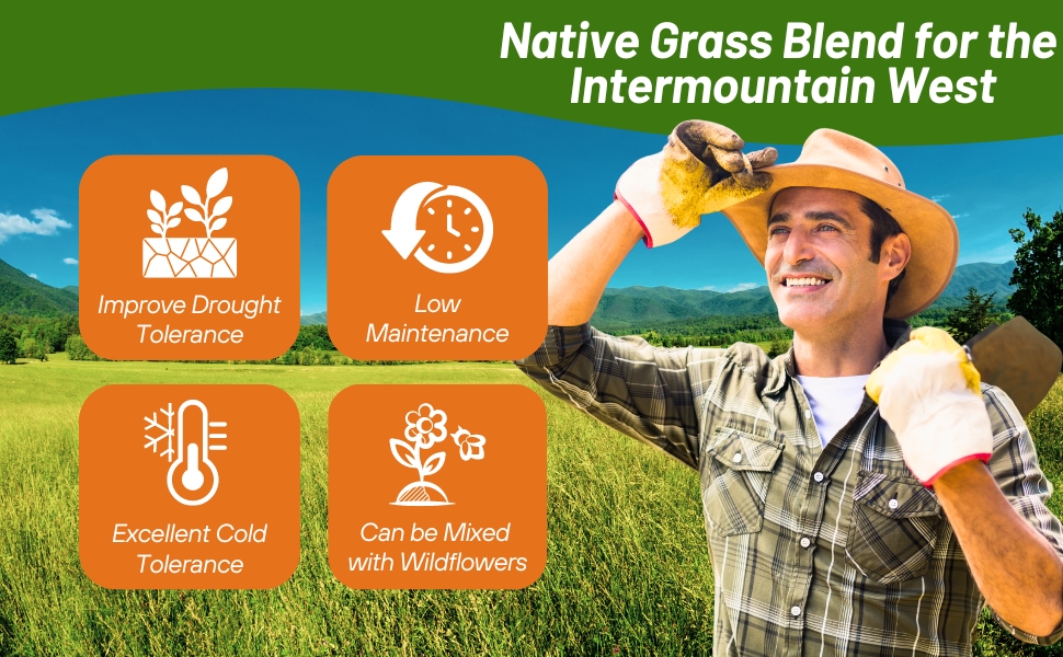 Low Maintenance & Cold Tolerant Western Native Grass Seed Mix