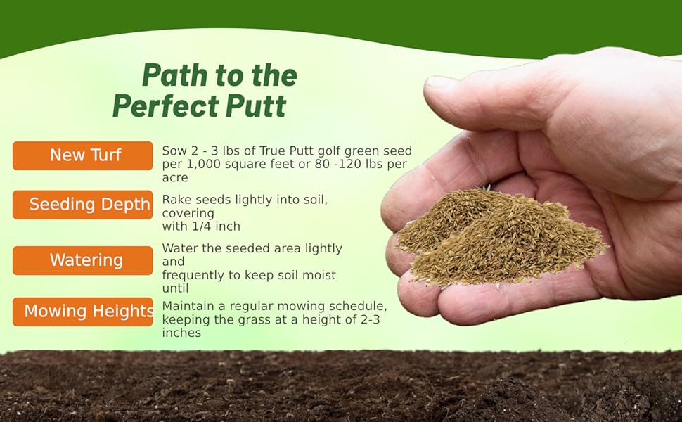 Seeding Rate & Planting Time For Two Putt Creeping Bluegrass Seeds